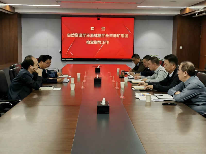 省自然资源厅副厅长王雁林一行 来陕西地矿集团检查指导工作