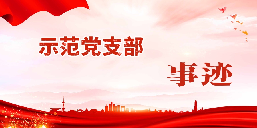 陕西地矿集团示范党支部典型事迹（一）